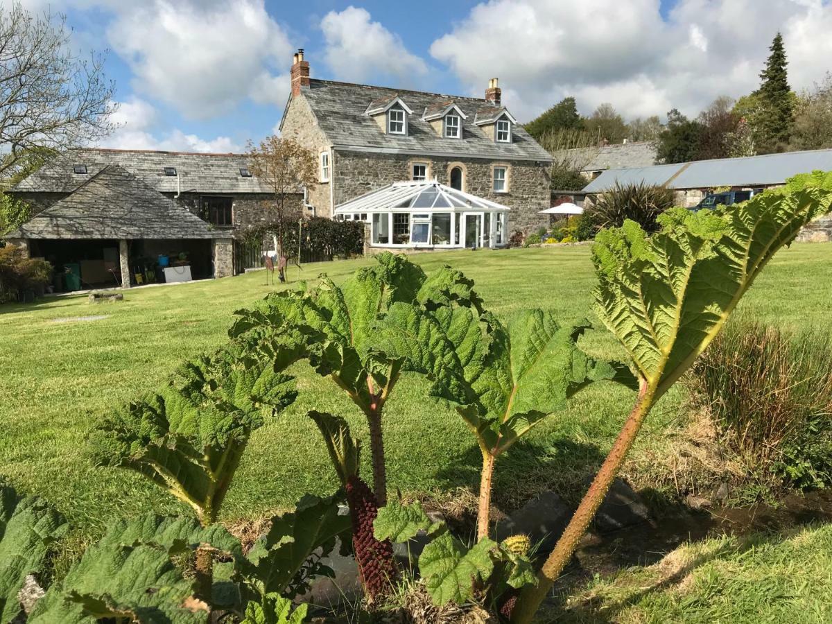 Treveighan Farmhouse Saint Teath Exterior foto