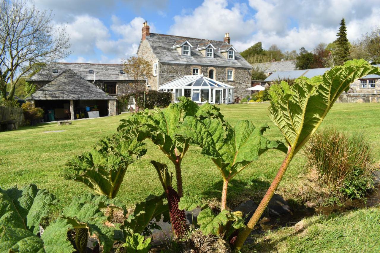 Treveighan Farmhouse Saint Teath Exterior foto